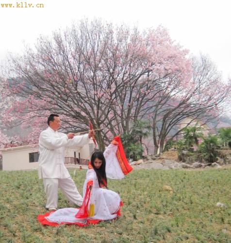 药王谷演绎的养身与动漫秀
