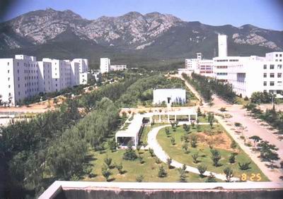 ѧ